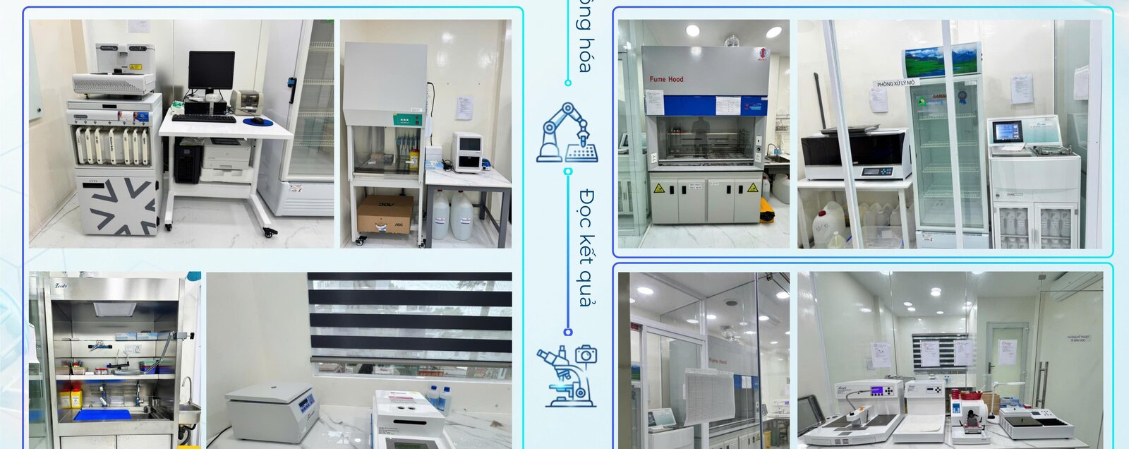 Hệ thống thiết bị xử lý mô, hood hút khí và phòng đọc kết quả tại Dx Lab